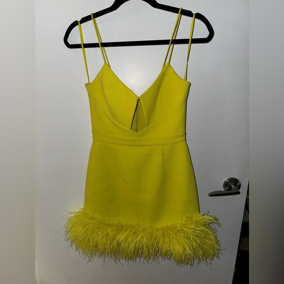 Rebecca Vallance Dresses & Skirts - Rebecca Vallance Porto feather cut dress size 2